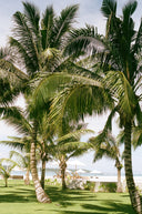 Tan Madonnas' 2024 Surf Trip Essentials Packing List